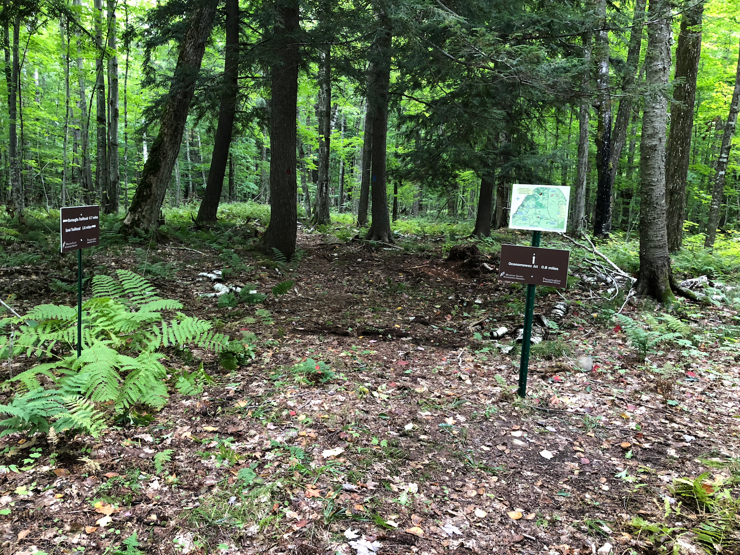 New signs & maps at trail junction