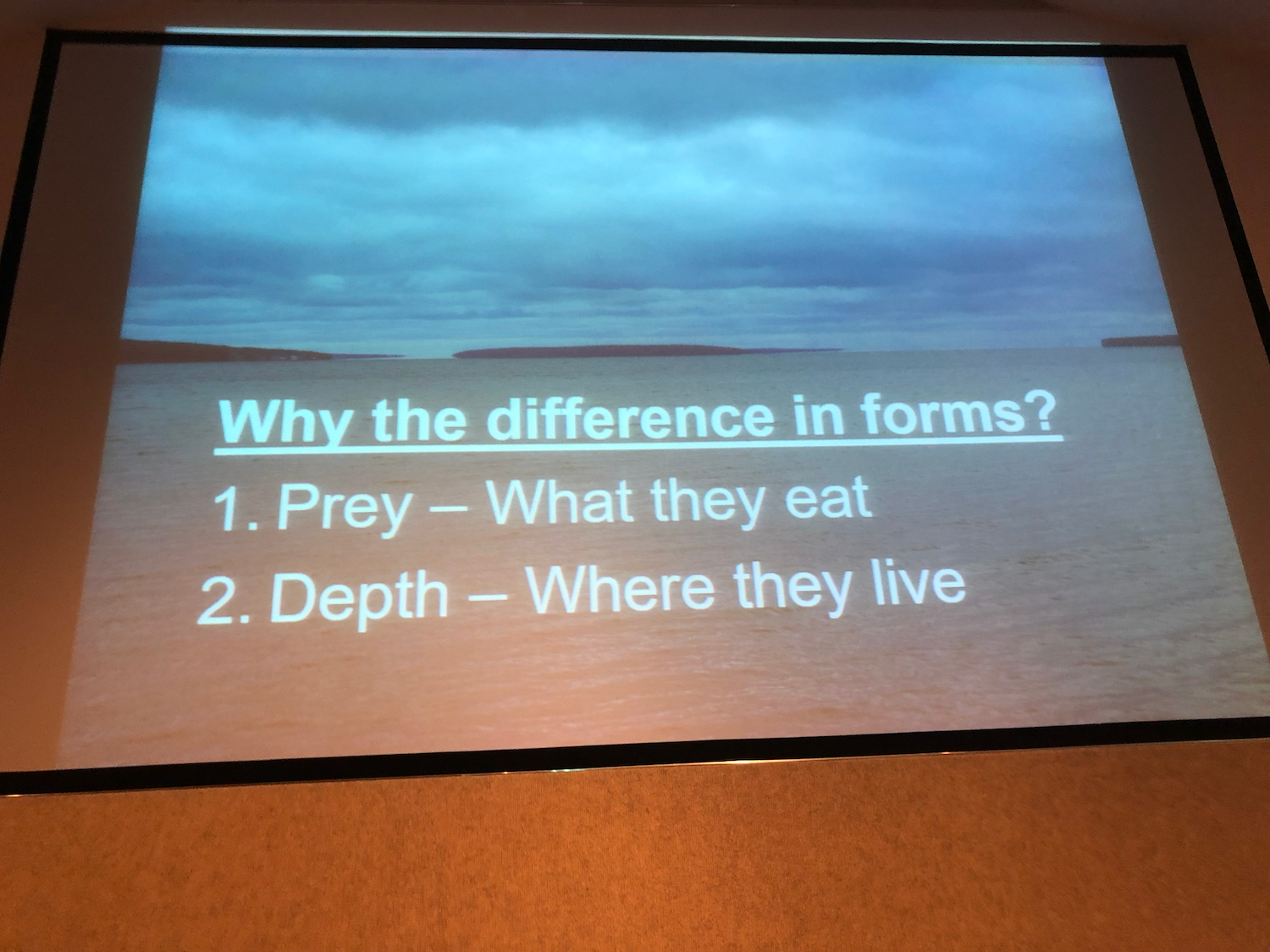 IMG_3621.png