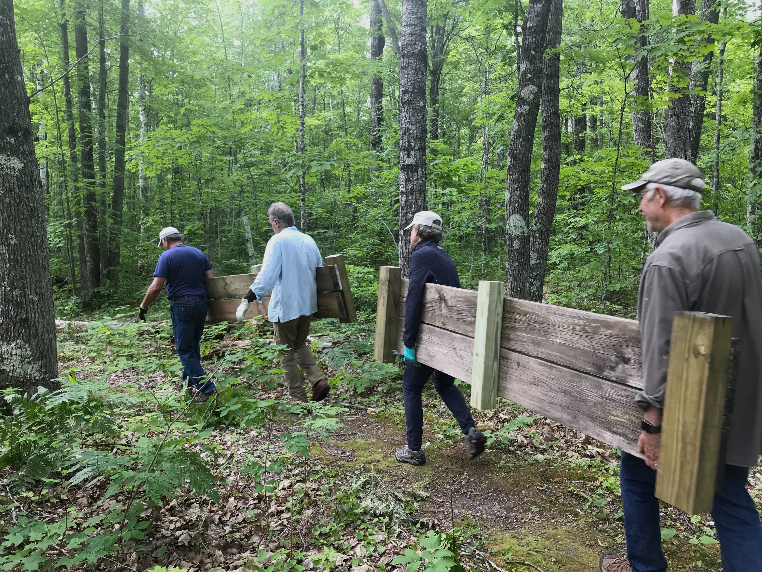 New Boardwalks on the Burroughs Trail