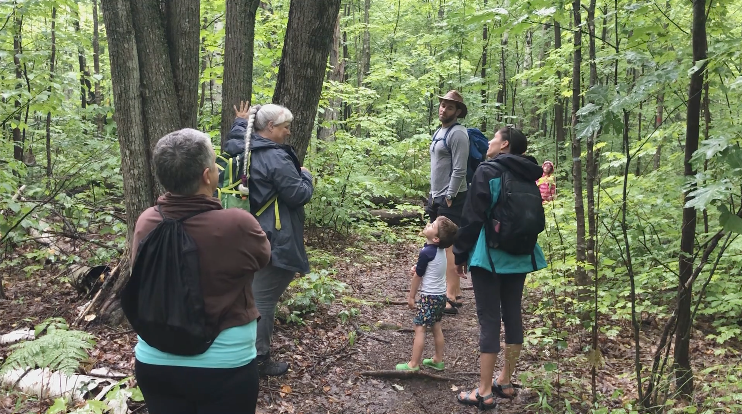Forest Classroom: See the Forest and the Trees with Margie Menzies