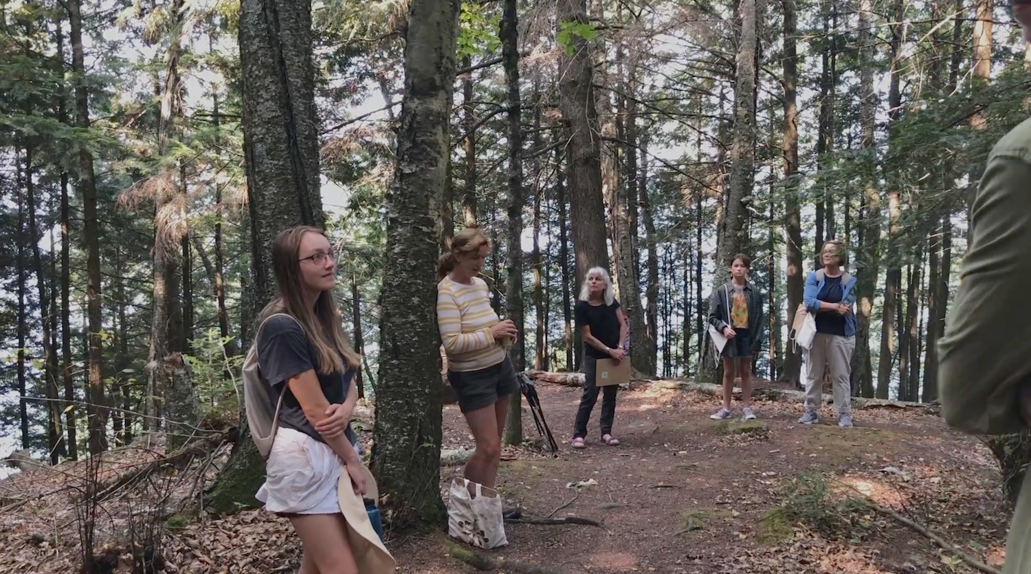 Forest Classroom: The Art of Nature Journaling with Janet Moore