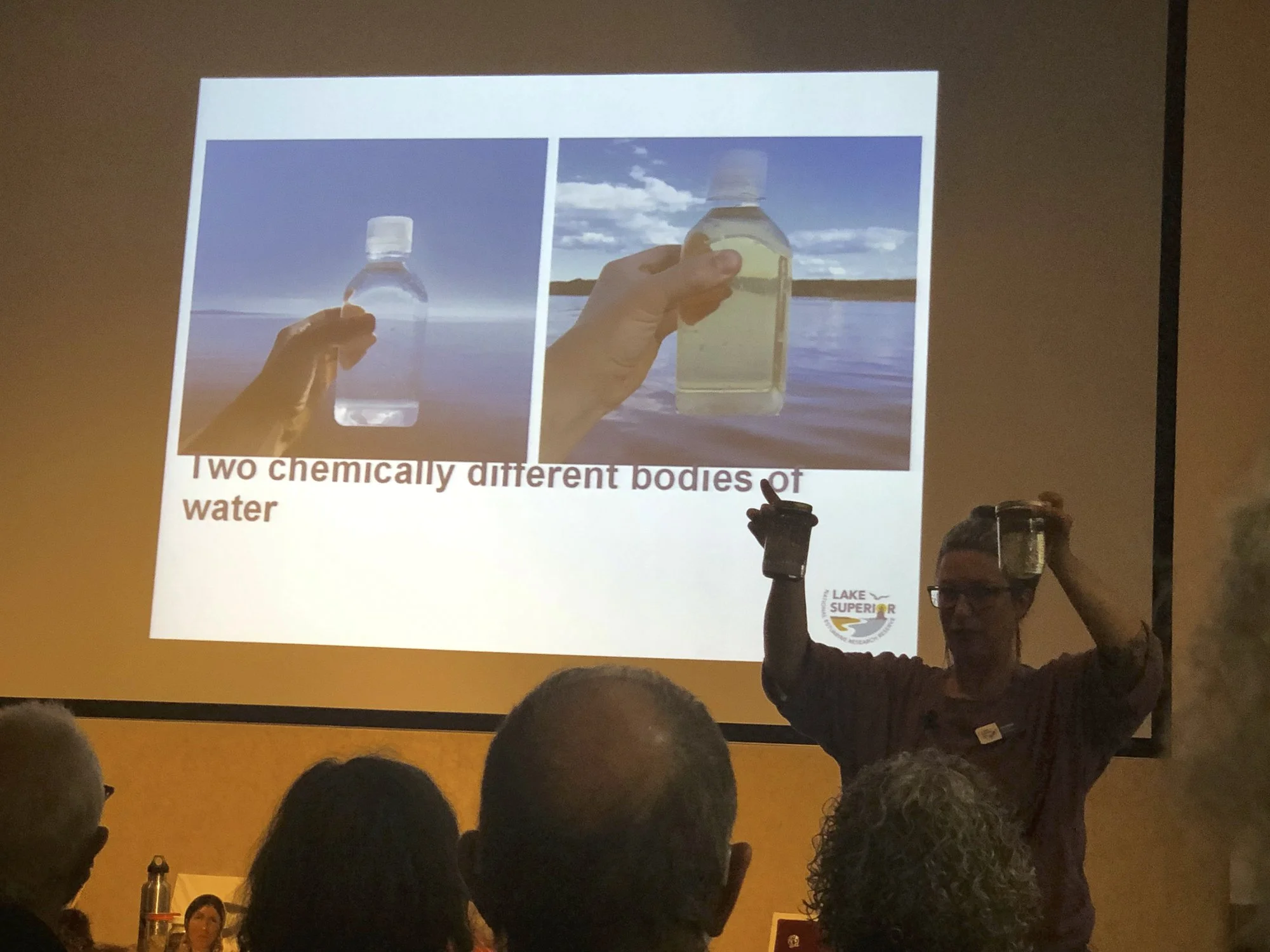 Wednesday Lecture: Estuaries and the Health of Lake Superior