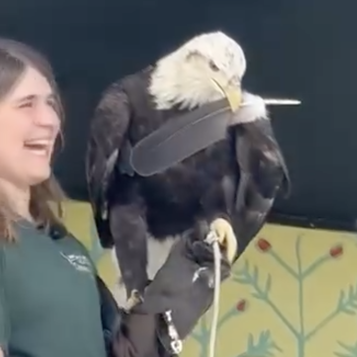 2024 Meet Raptors Up Close with the Minnesota Raptor Center! Such Fun! 