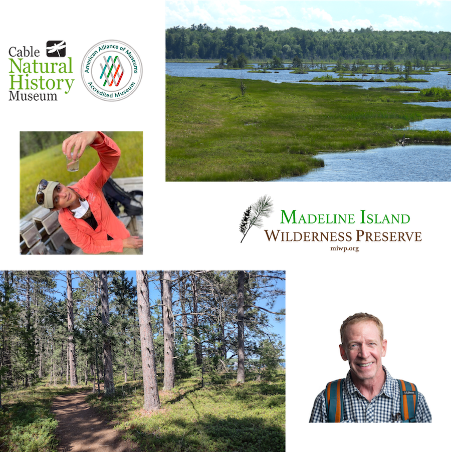 Landscape Ecology on Madeline Island (Master Naturalist Advanced Training)
