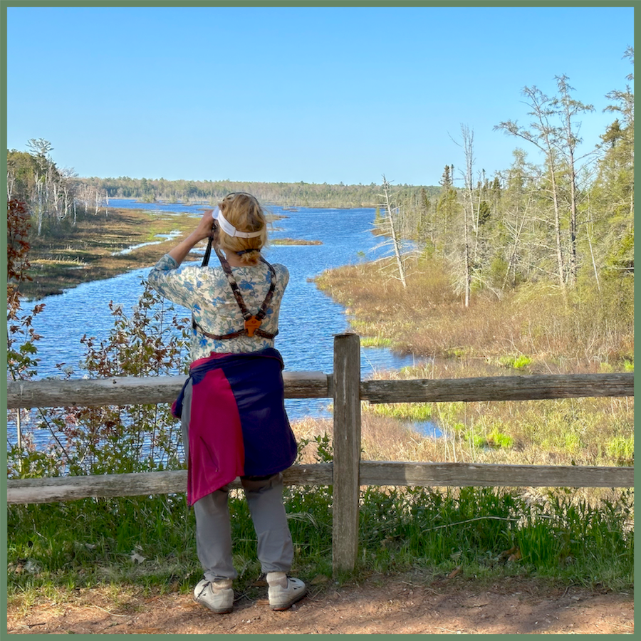 MIWP Forest Classroom:  Annual MIWP Bird Hike