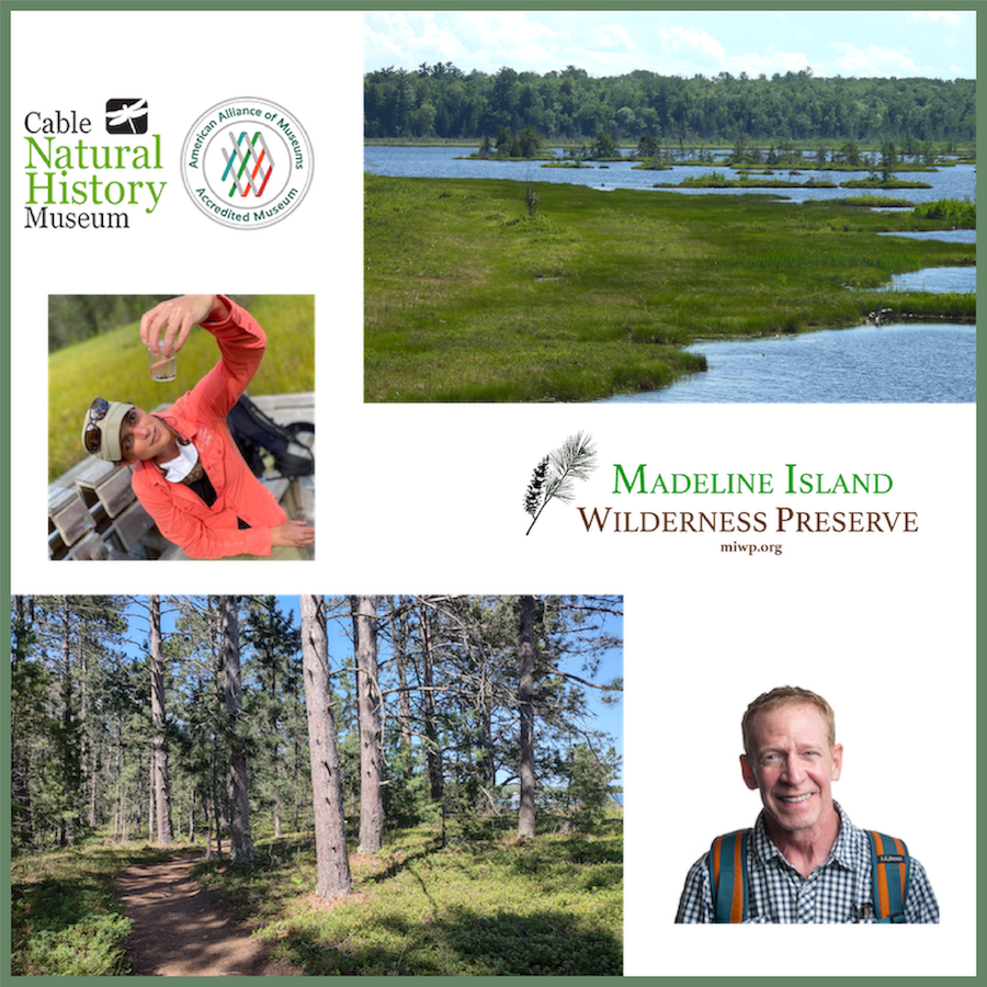 Landscape Ecology on Madeline Island (Master Naturalist Advanced Training)