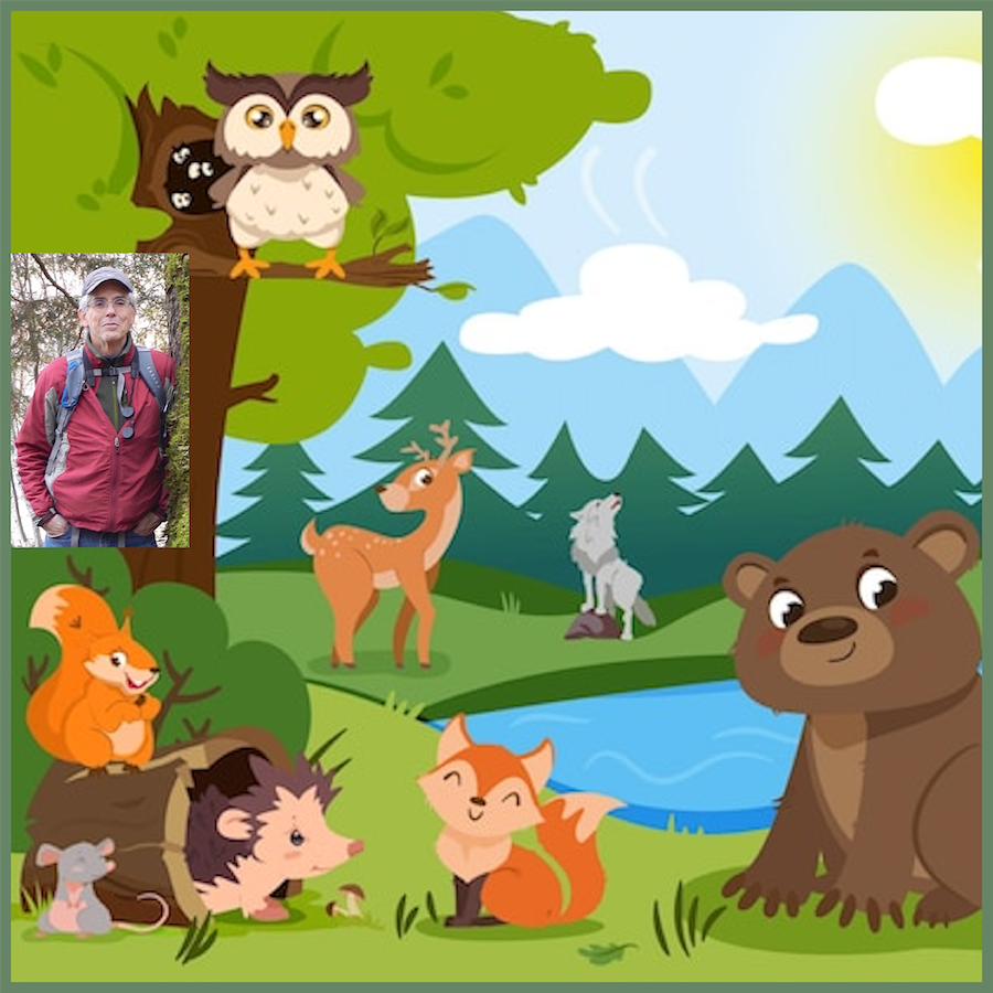 The Farthest Side of Wildlife Ecology