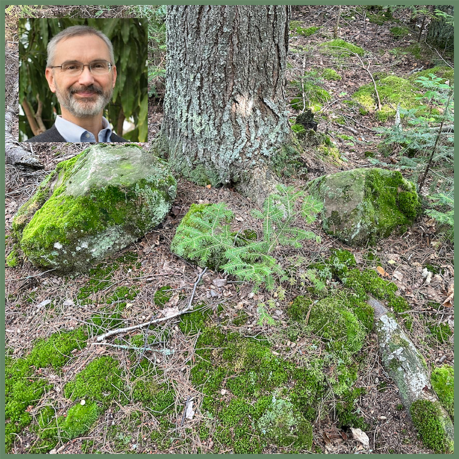 Madeline Mosses — Amphibians of the Plant Communities