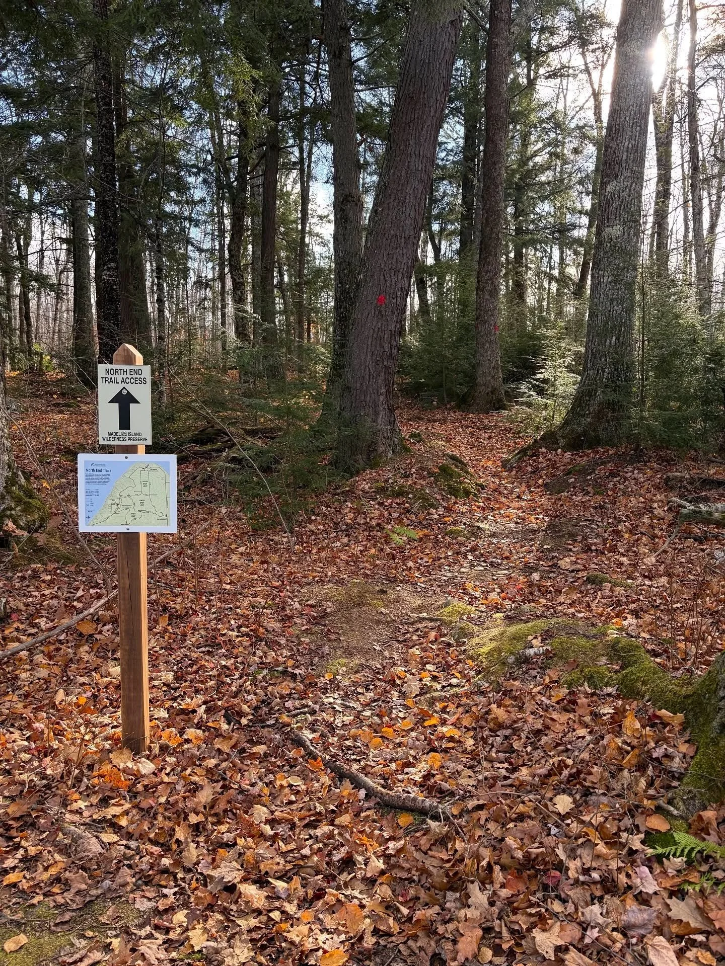 North end trail.jpeg