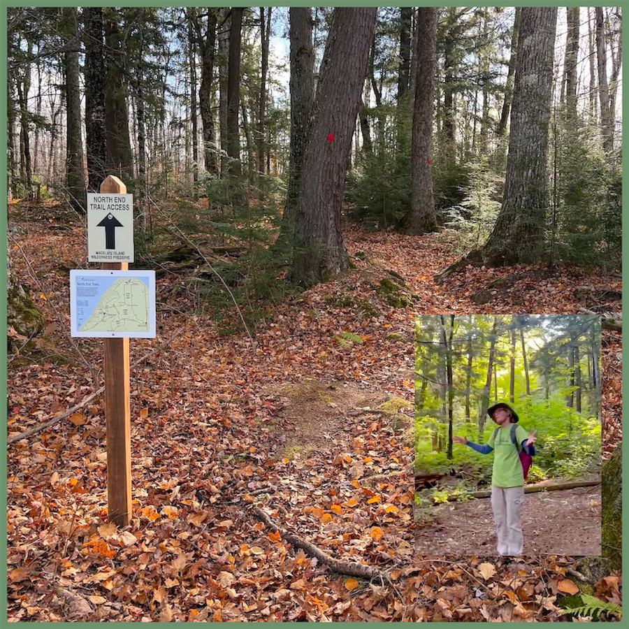 Guided Hike in the Wild Heart of Madeline