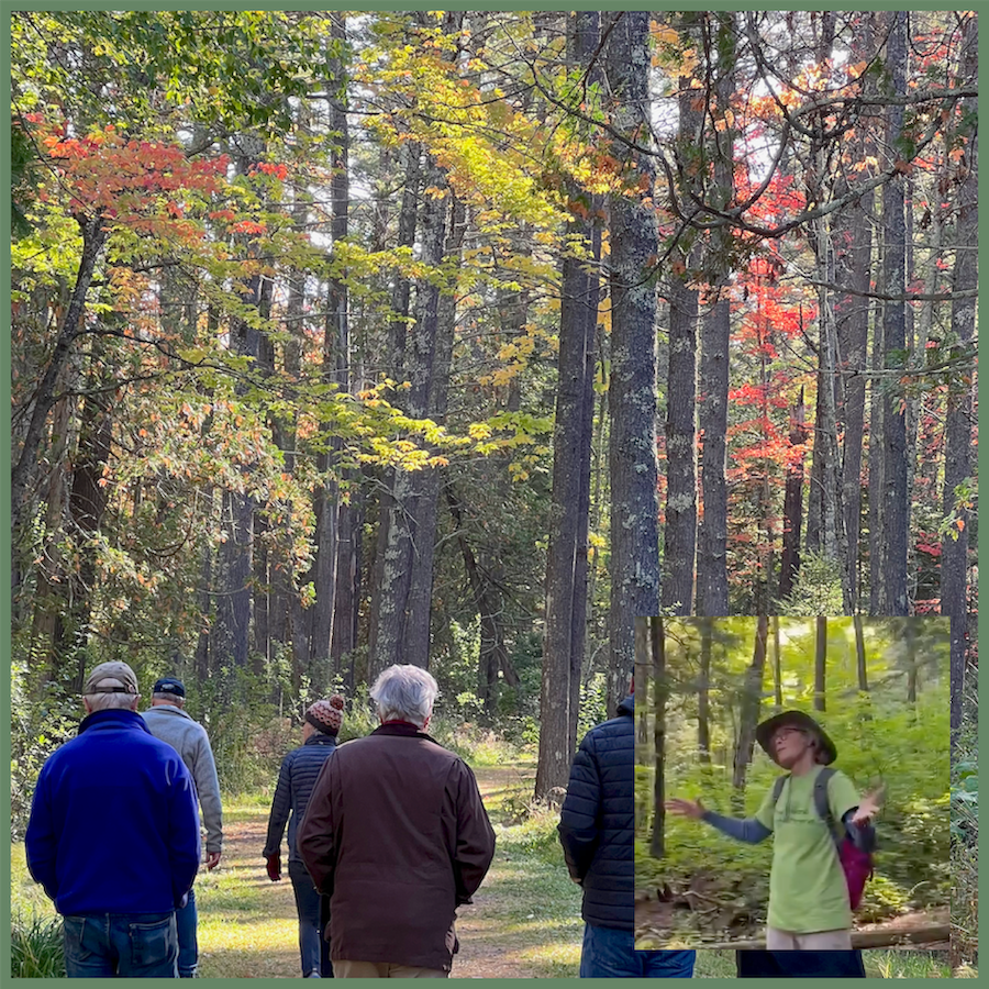 Guided Hike in the Wild Heart of Madeline
