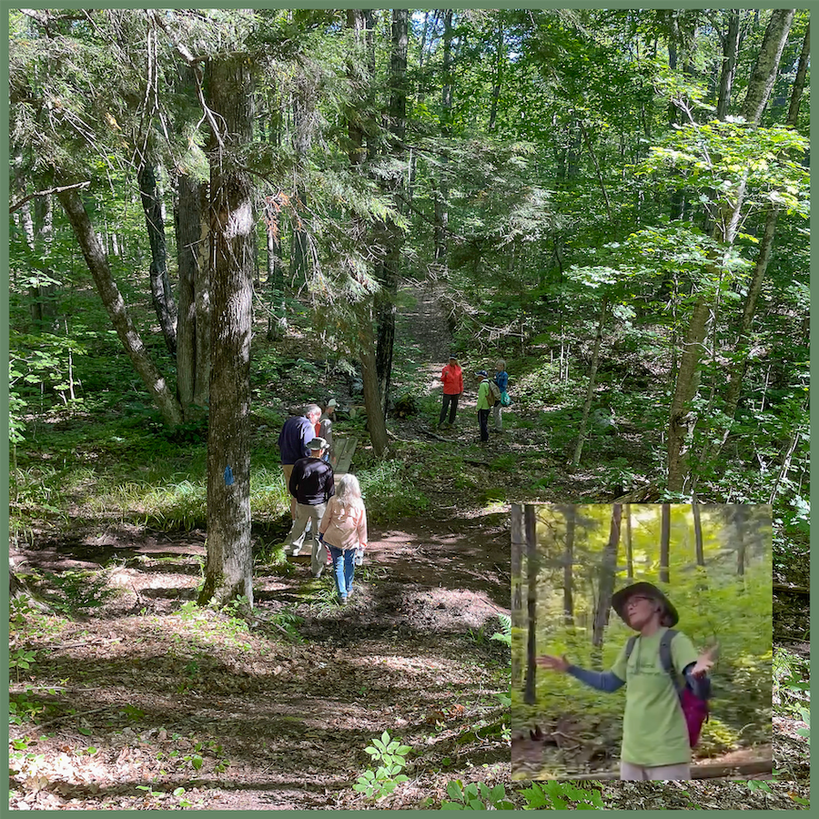 Guided Hike in the Wild Heart of Madeline