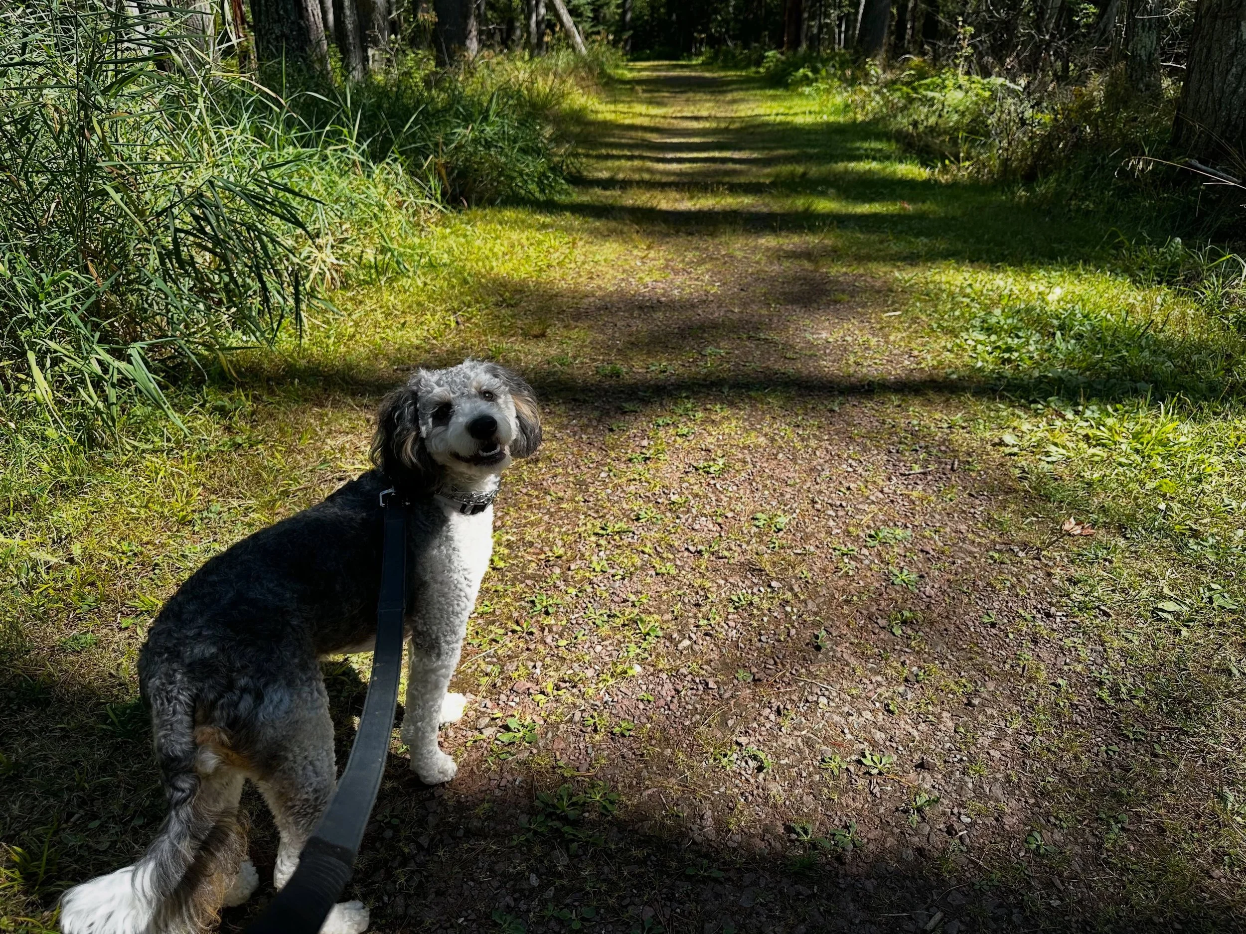 September is a good time for you and your friends to go for a hike on the preserve trails!