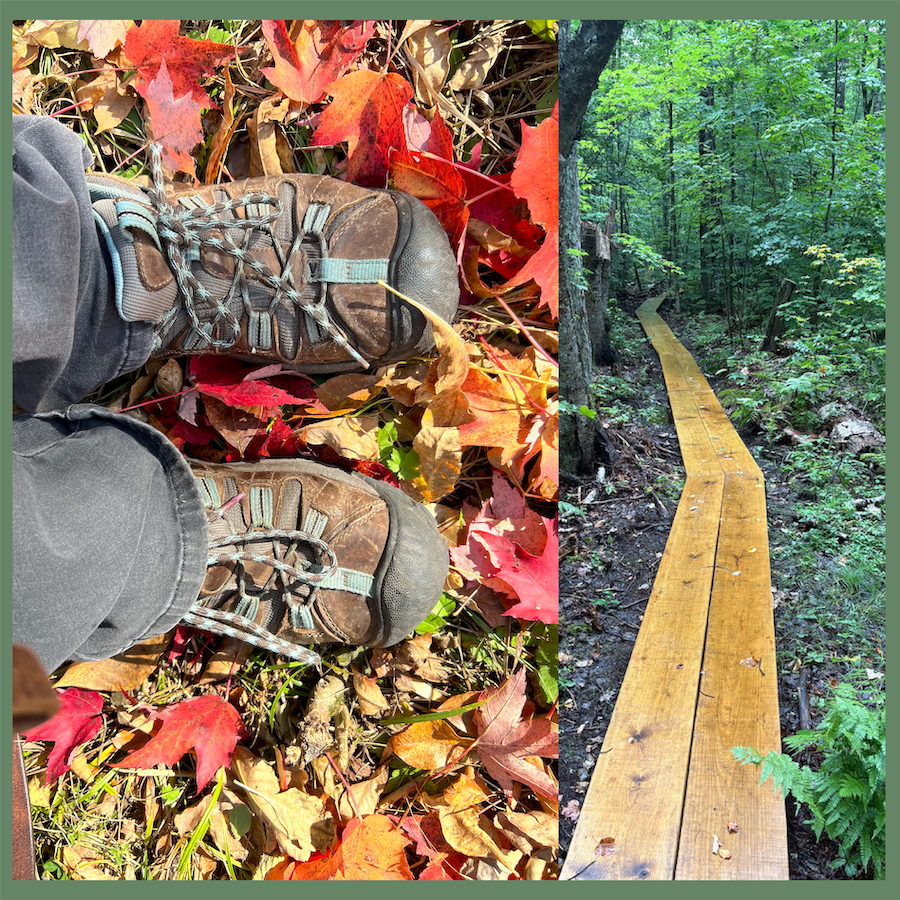 Guided Hike in the Wild Heart of Madeline