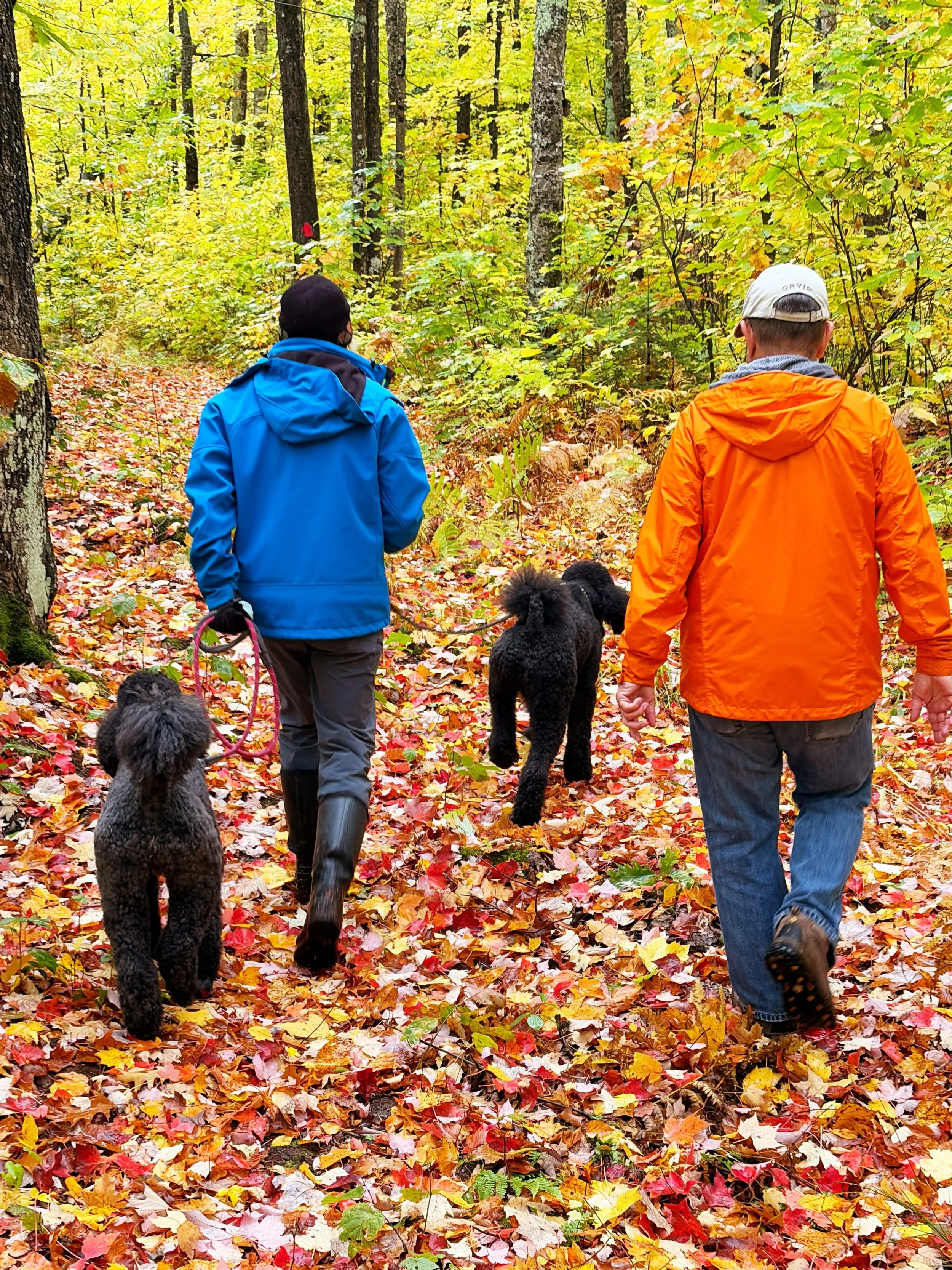 The colors on the trails are beautiful this year!
