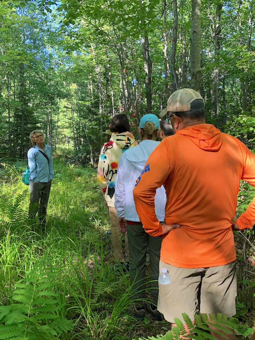 north end trails.png