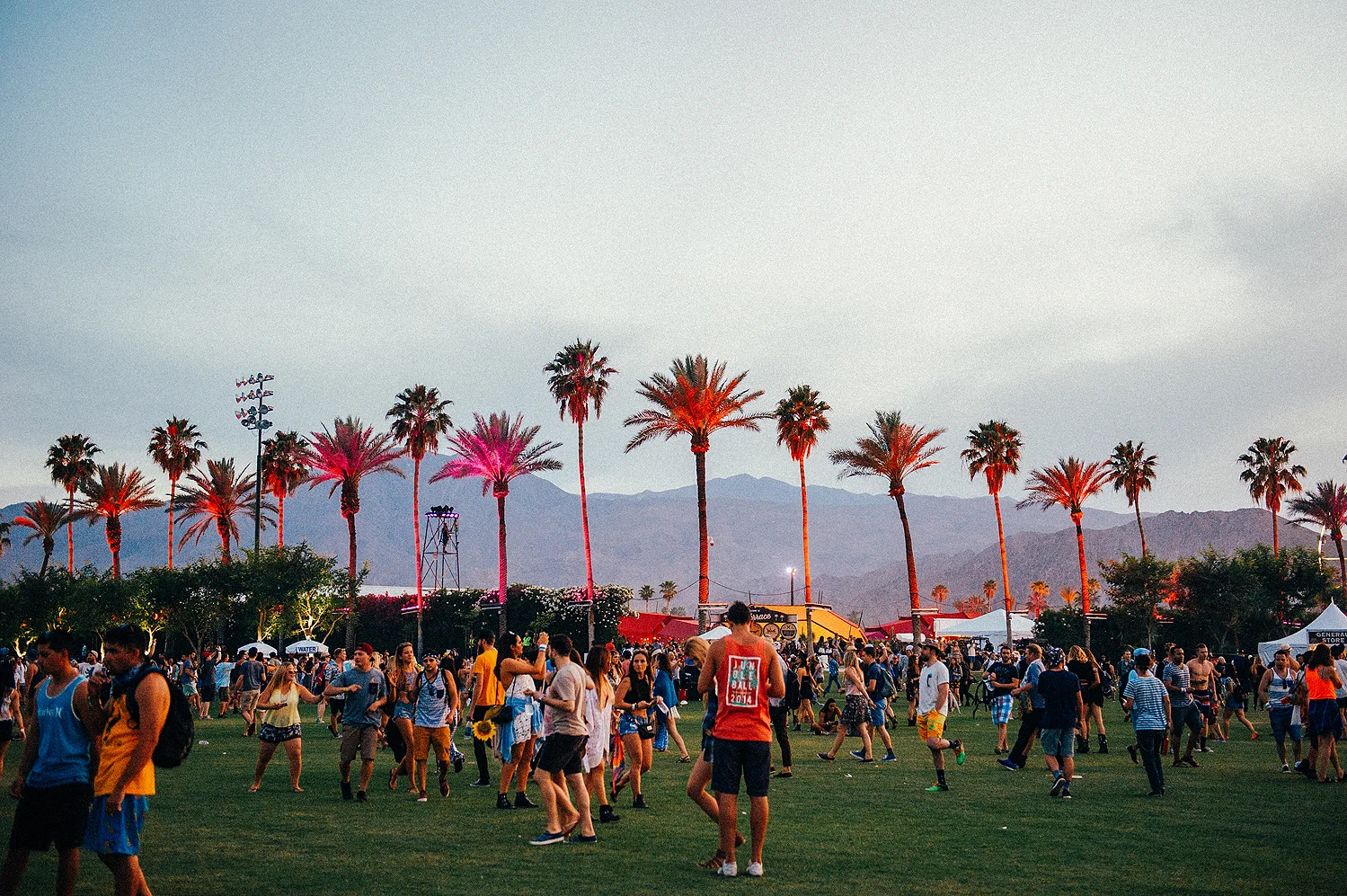 Coachella Festival 2015