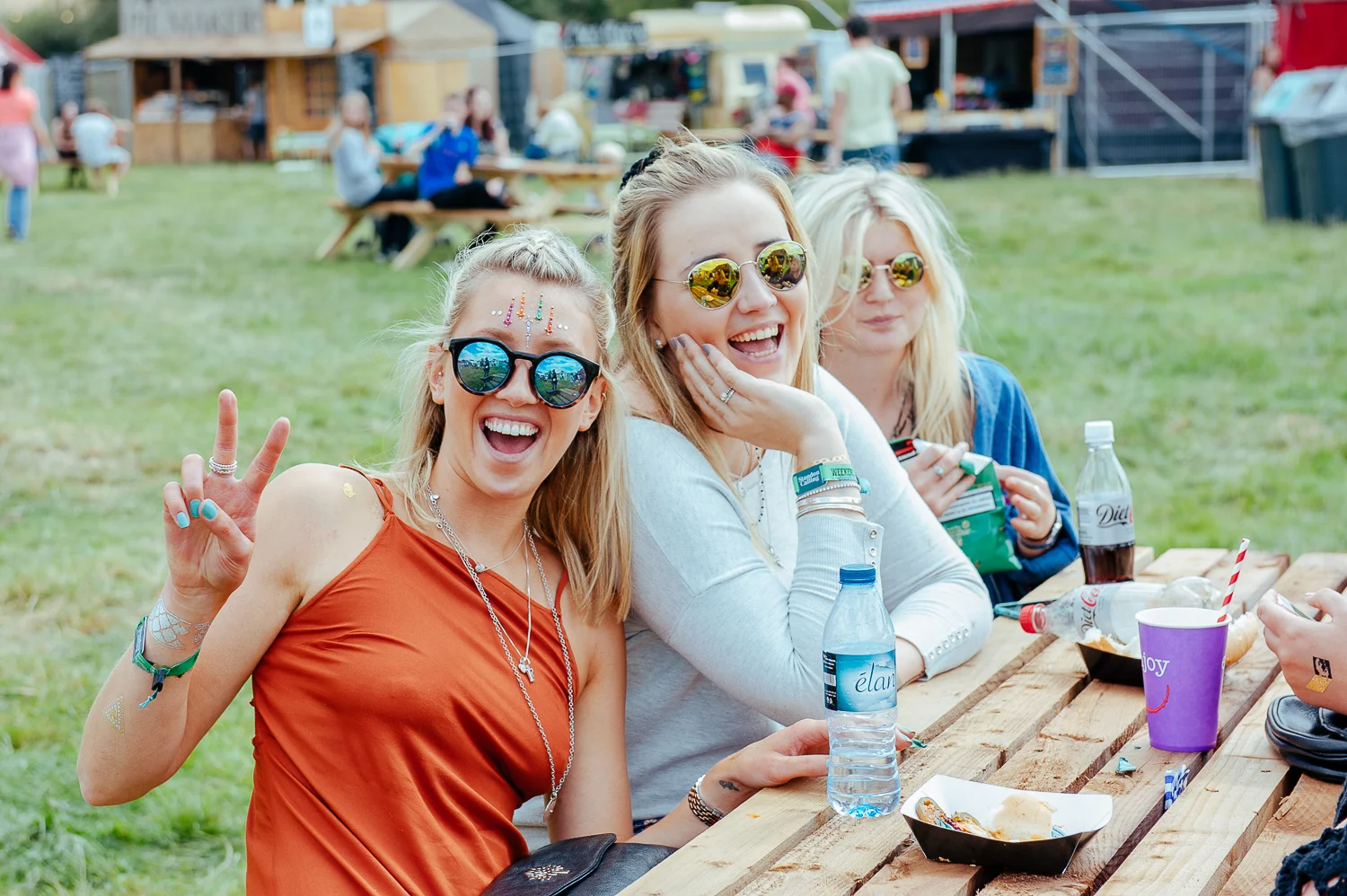 Standon Calling Festival 2015