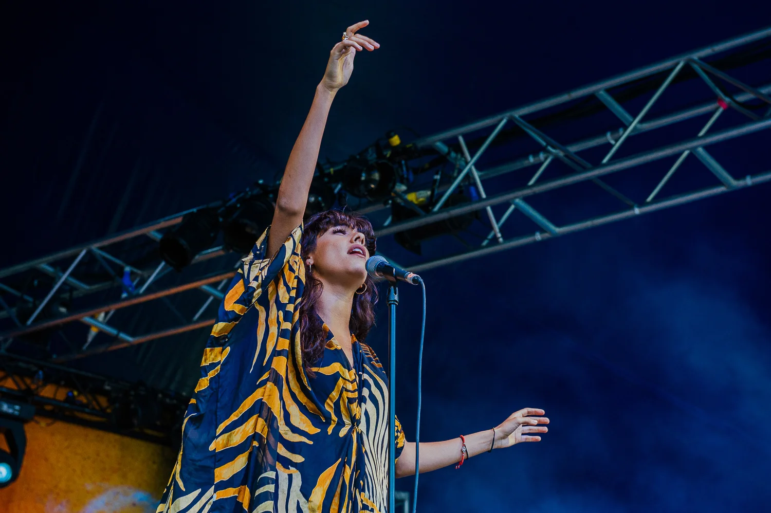 Standon Calling Festival 2015