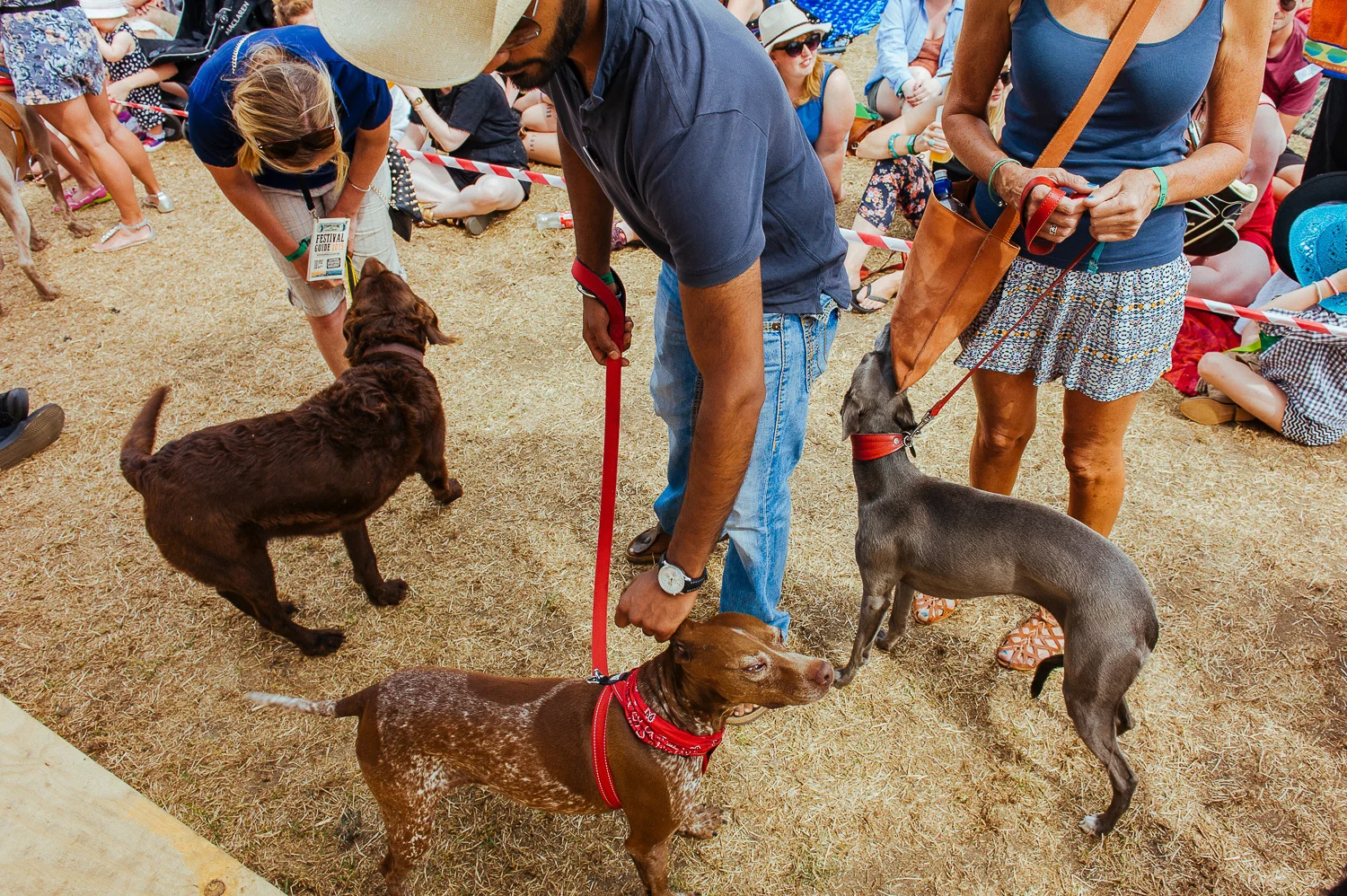 Standon Calling Festival 2015