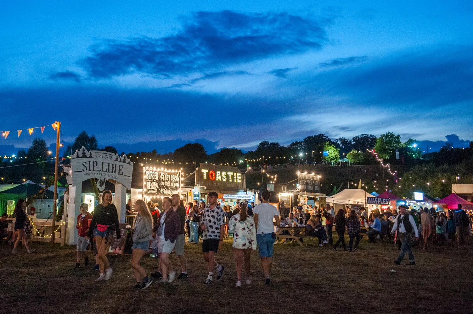 Standon Calling 2016