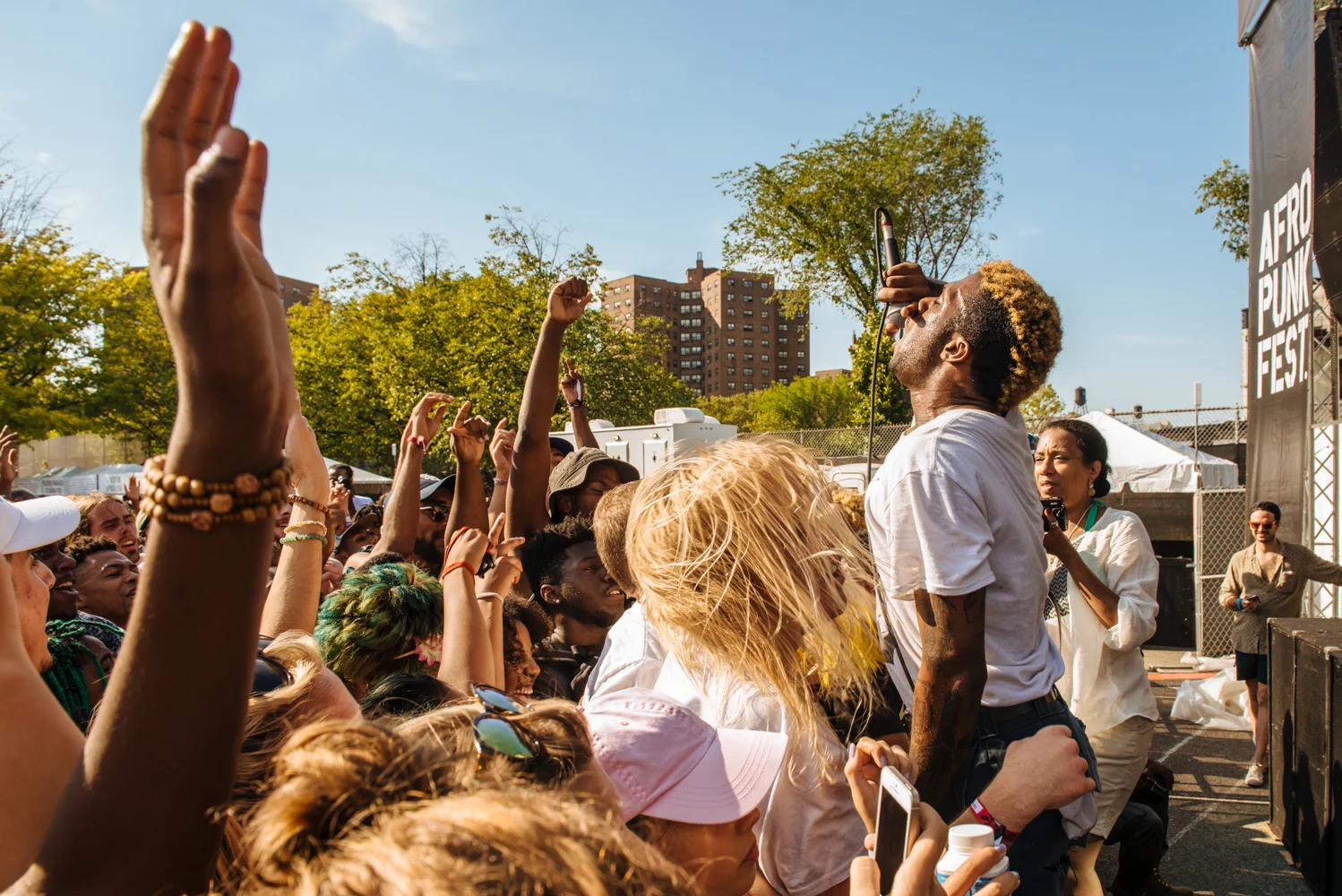 Afropunk Brooklyn 2016