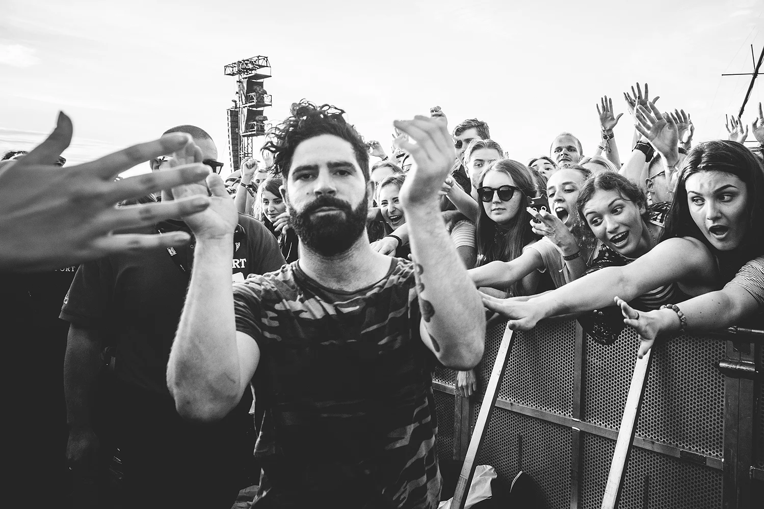 Foals