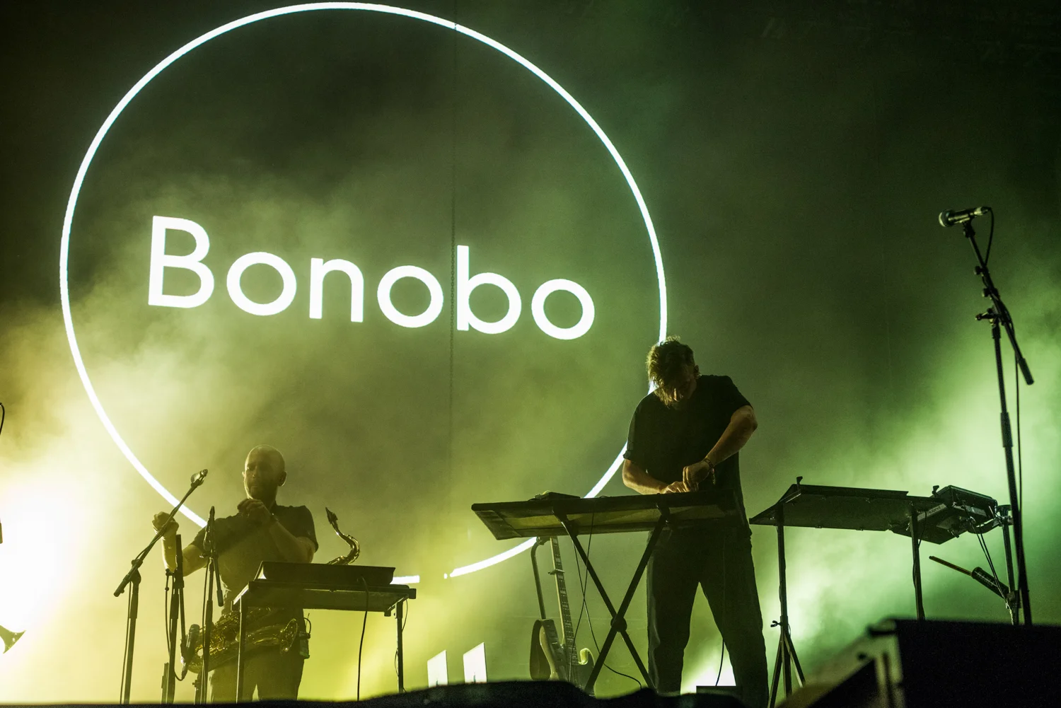 Bonobo