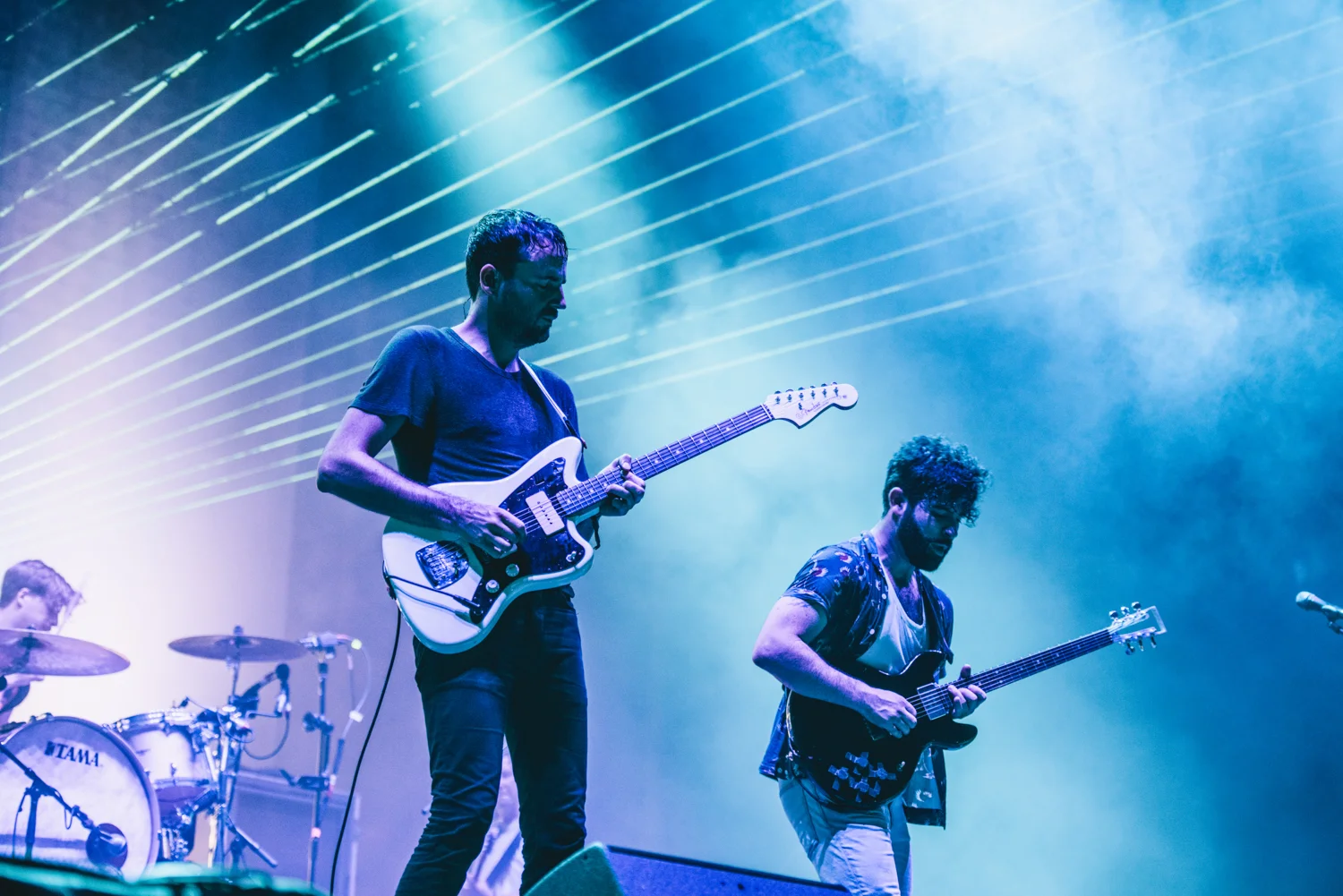Foals