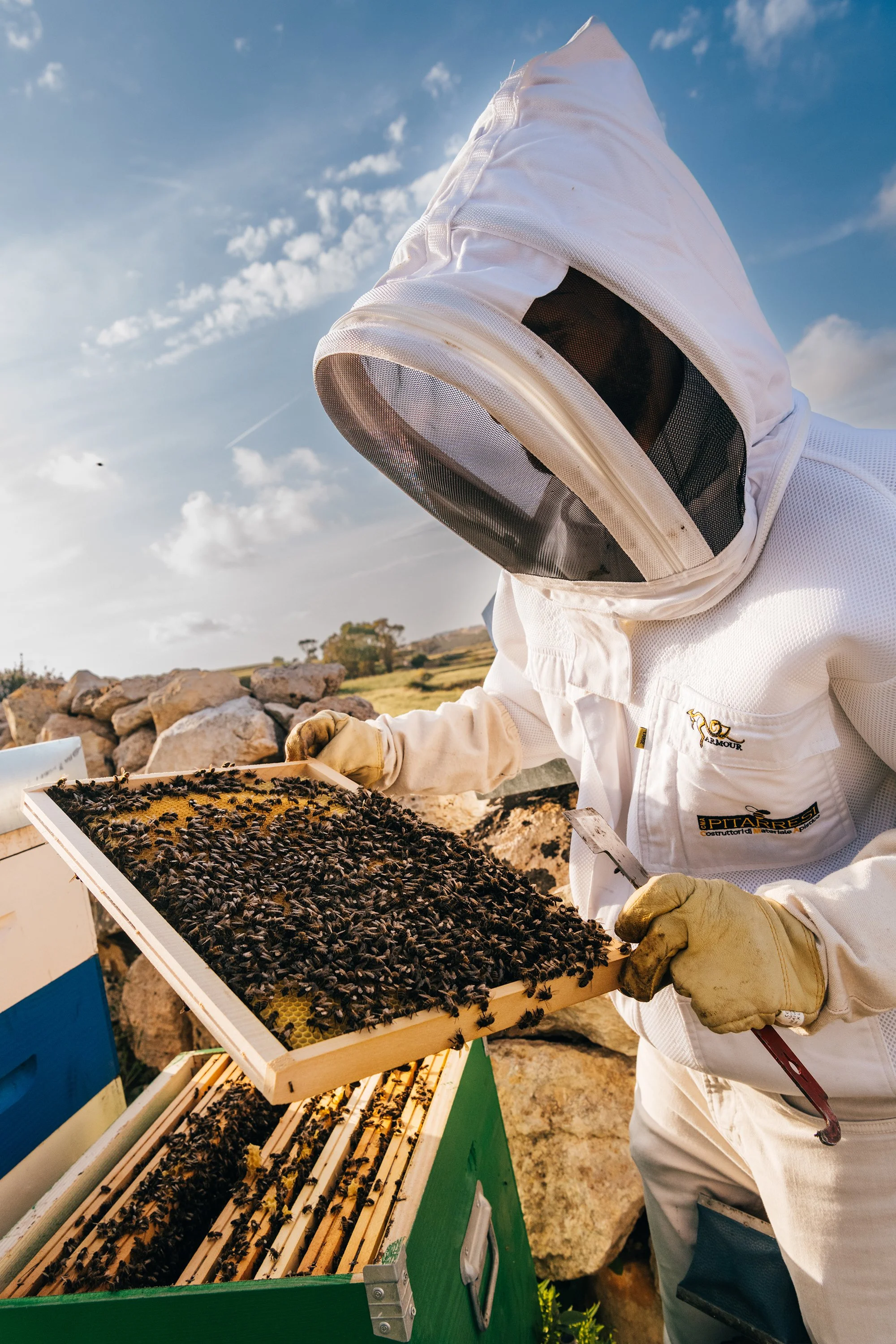 20250406_BeestowBees_GaelleBeri_0096.jpg (Copy)