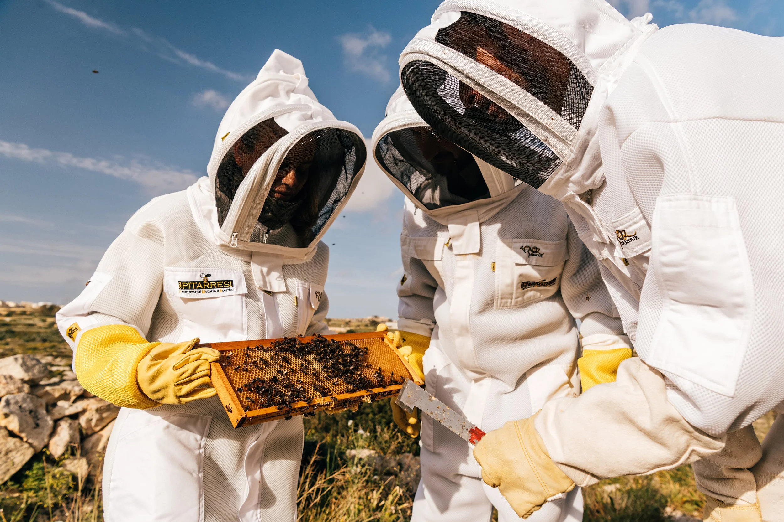 20250406_BeestowBees_GaelleBeri_9939.jpg (Copy)