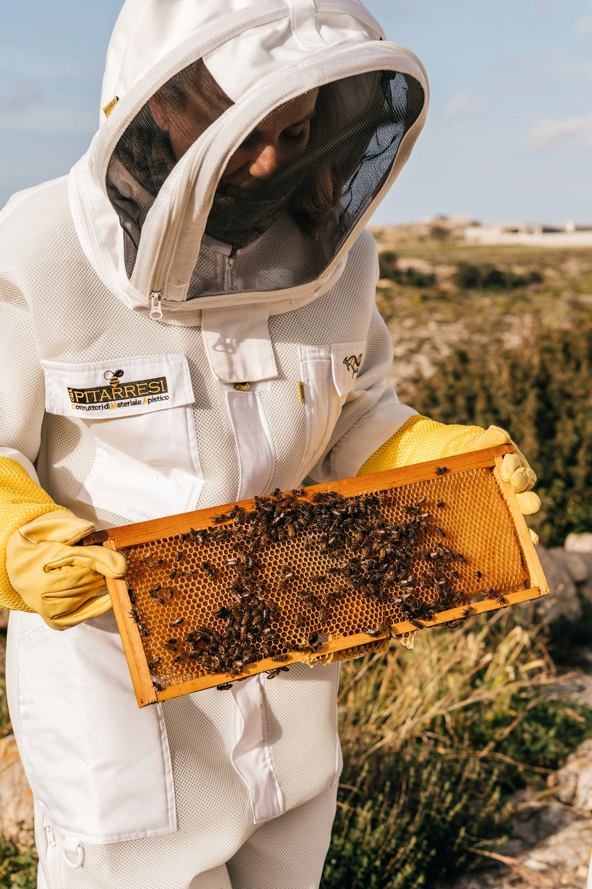 20250406_BeestowBees_GaelleBeri_9938.jpg (Copy)