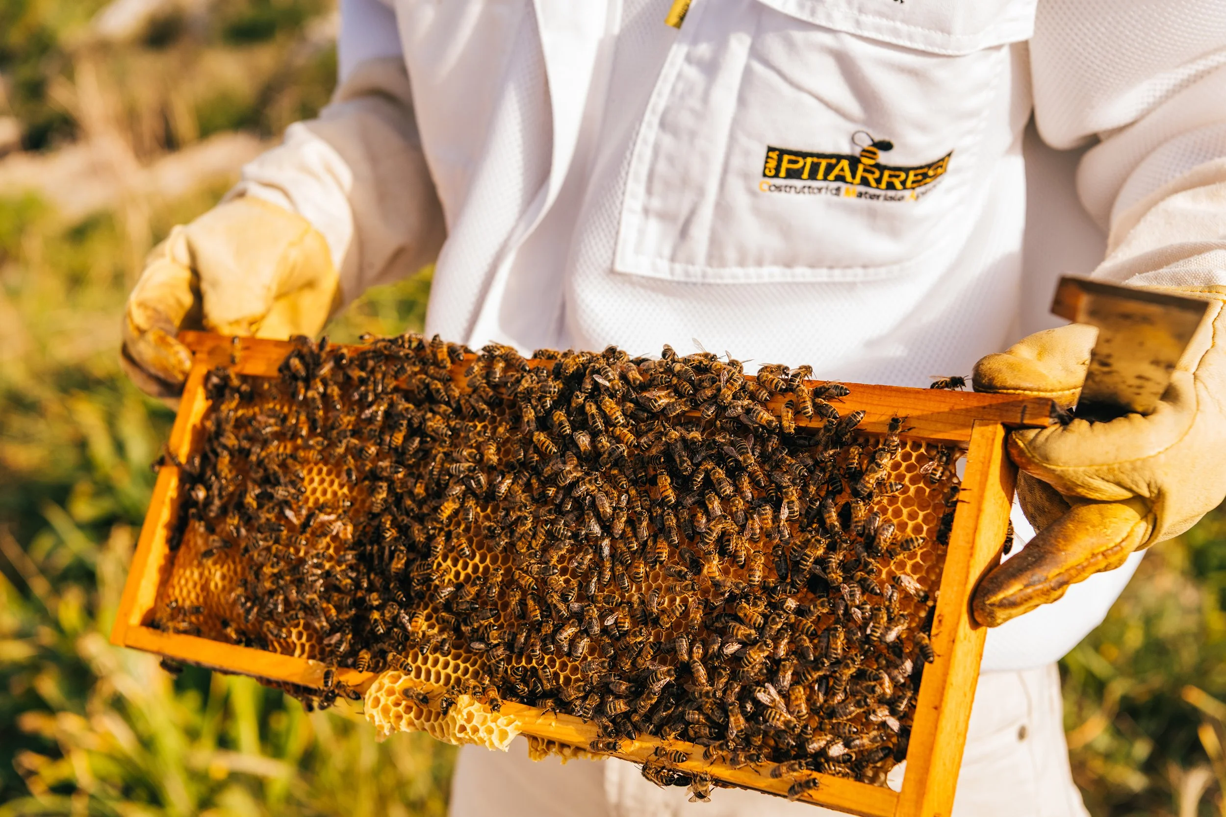 20250406_BeestowBees_GaelleBeri_9980.jpg (Copy)