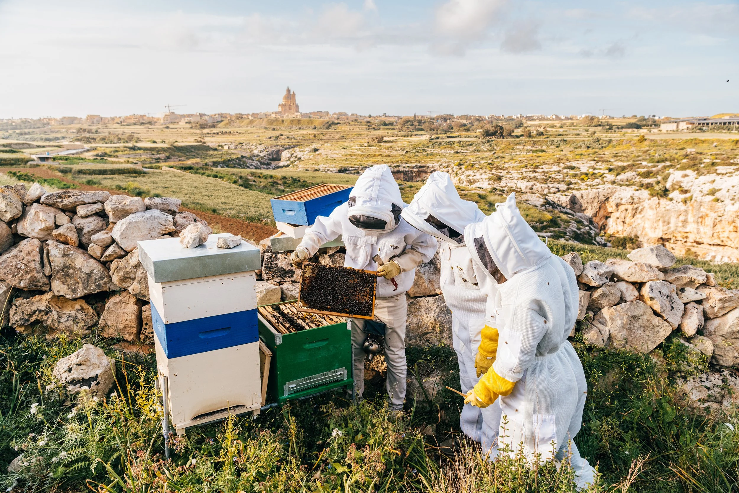 20250406_BeestowBees_GaelleBeri_0079.jpg (Copy)