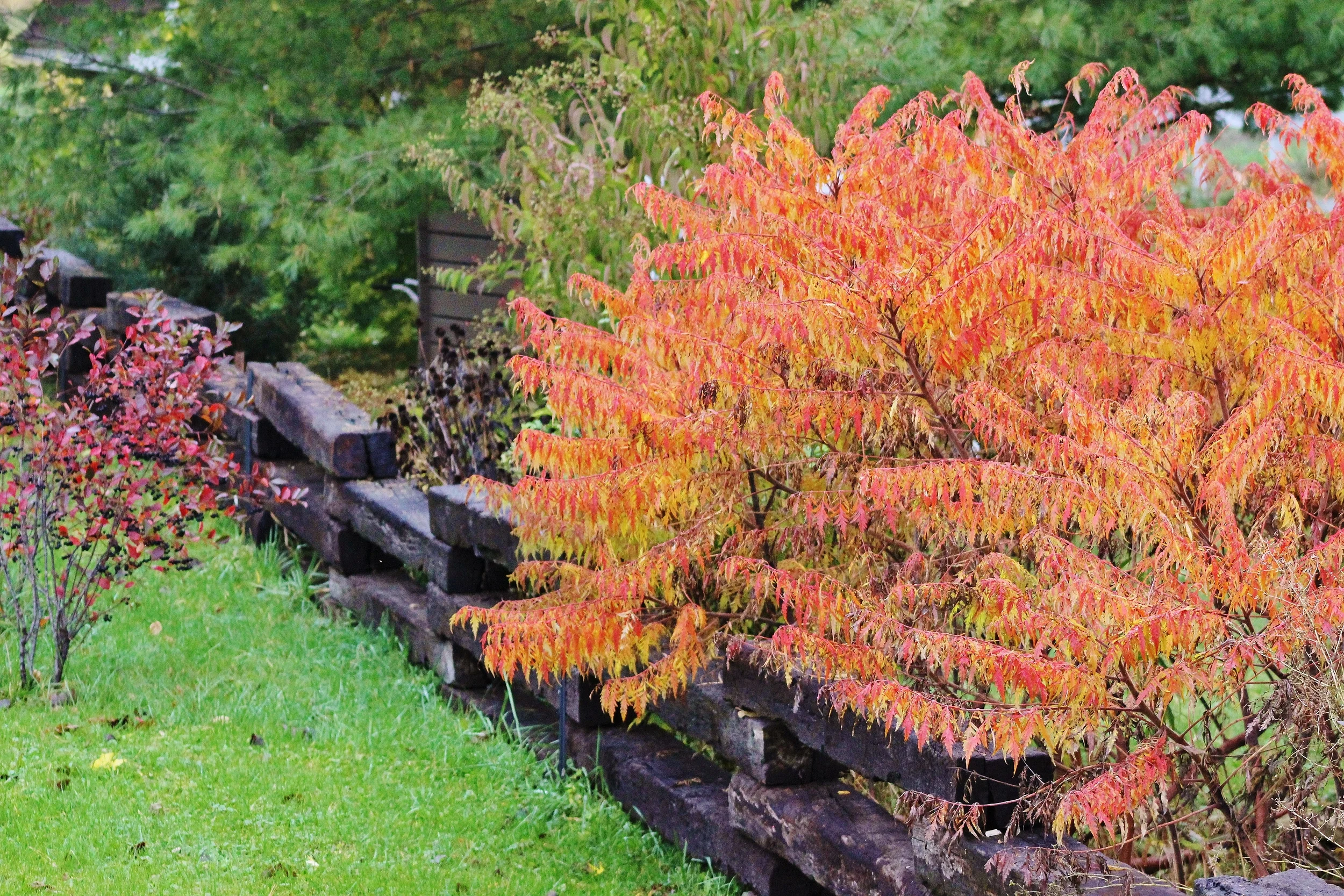 IMG_0892.jpg