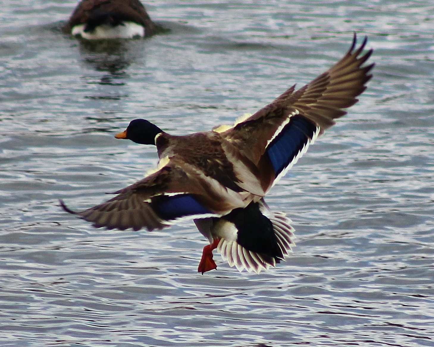IMG_5859.jpg