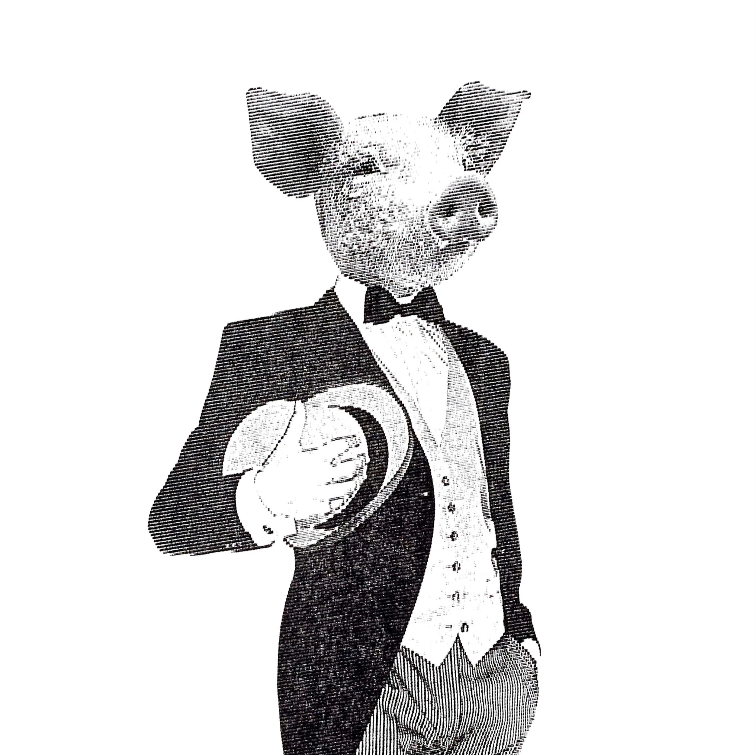 pigd.jpg