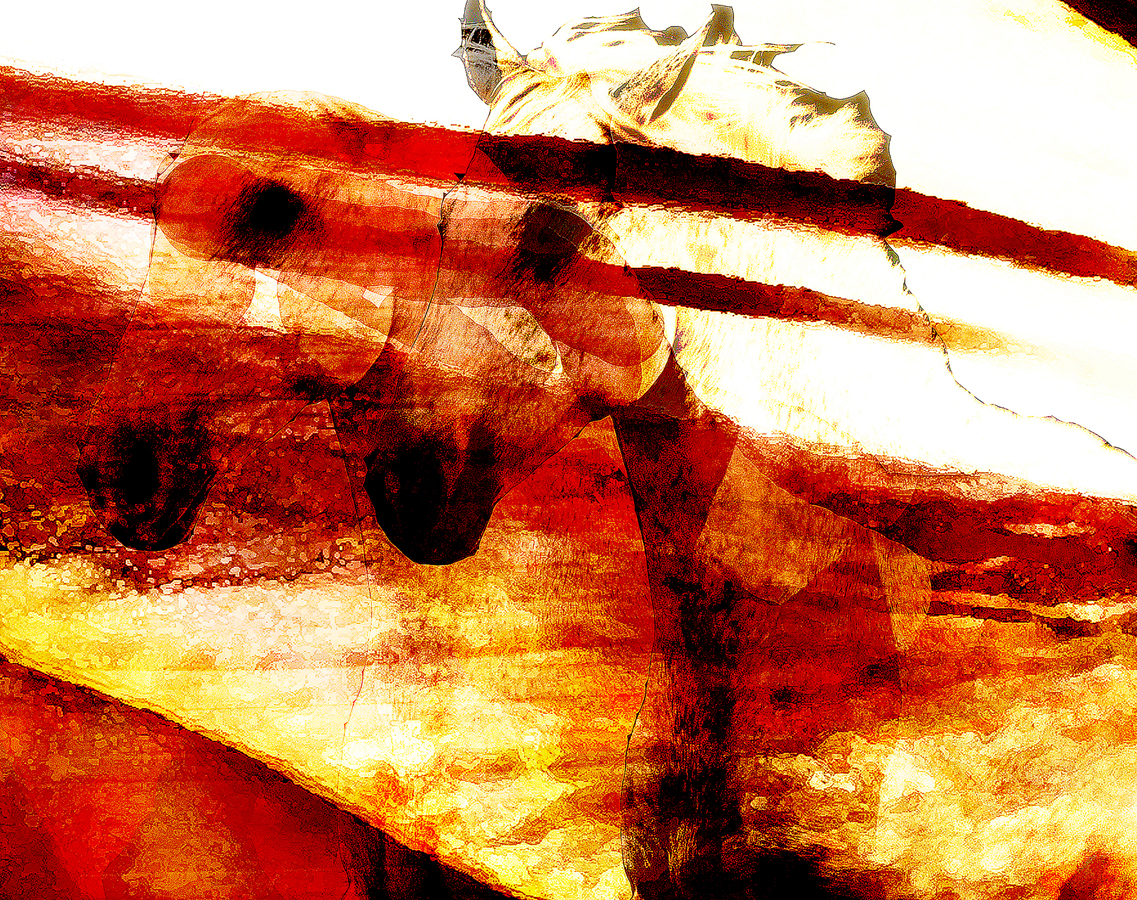 Equine Art 04