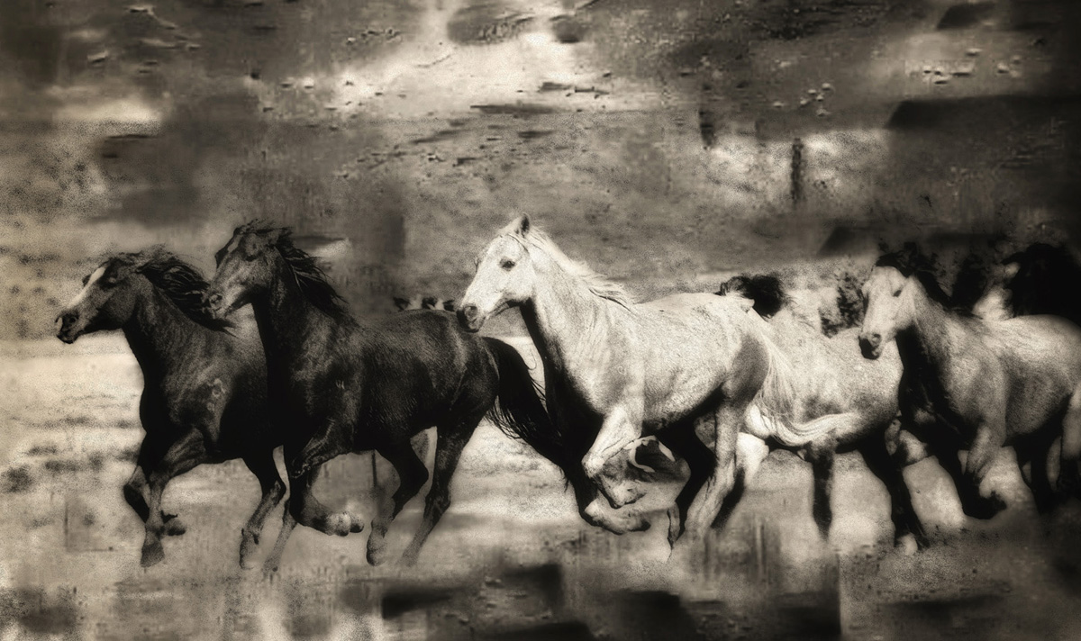 Equine Art 03