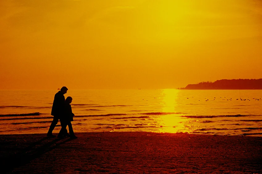 Say What You Want To Say