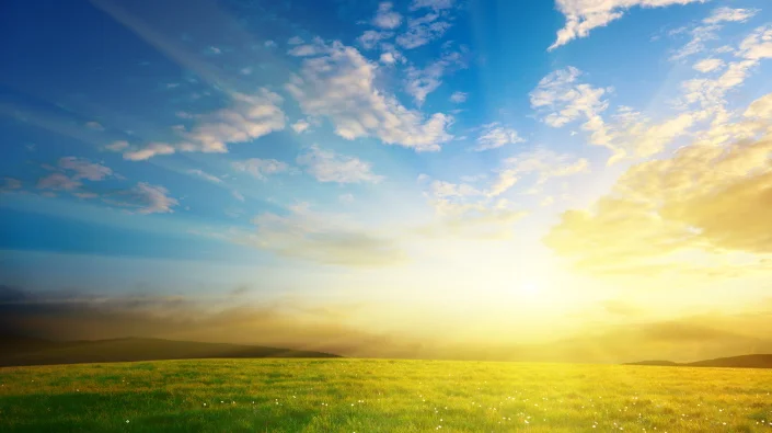 What Is God's Will For Your Life Today?