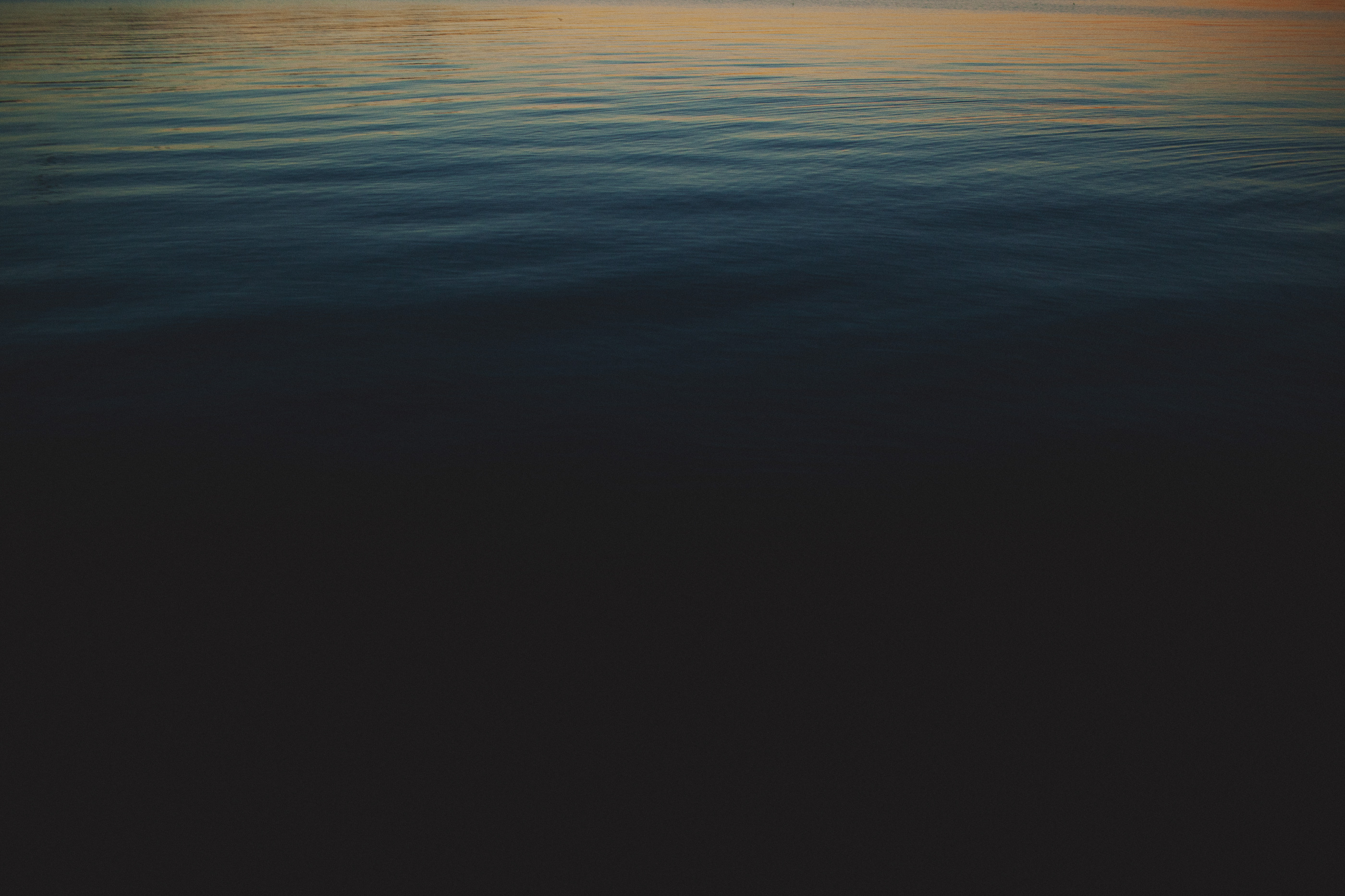 The D.P. Comes Out Of Retirement