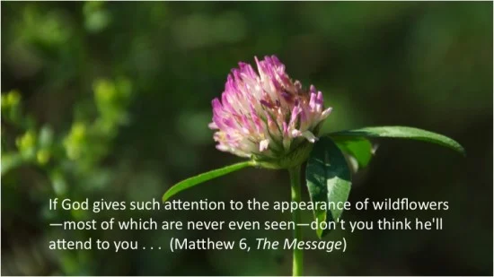 Why You Need Not Worry