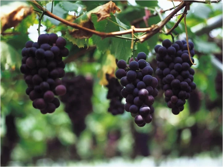 More Important Than Your "To Do" List