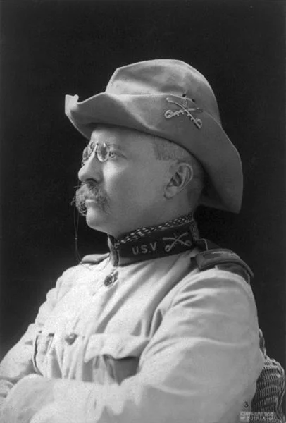 The Surprising Words Of Theodore Roosevelt
