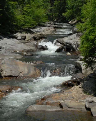 My Brush With Death...