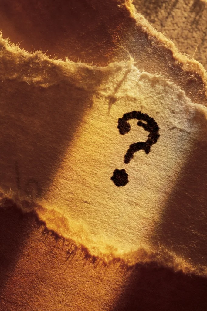 An Important Question For Tuesday...