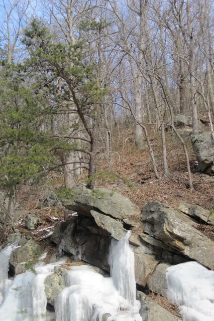 "Perseverance and Spirit"