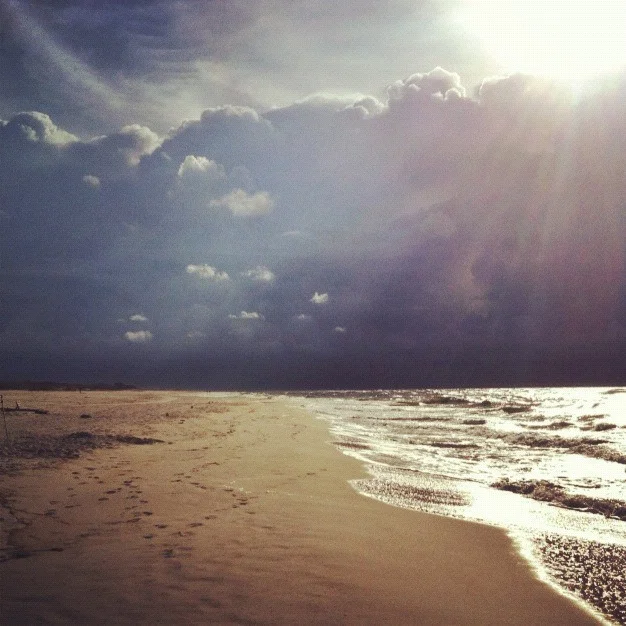 Tanks Along The Highway