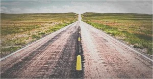 Mouse Traps And Other Traps